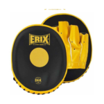 Boxing Focus Mitts