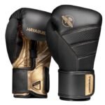 Hayabusa Boxing Gloves