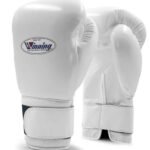 Winning Boxing Gloves